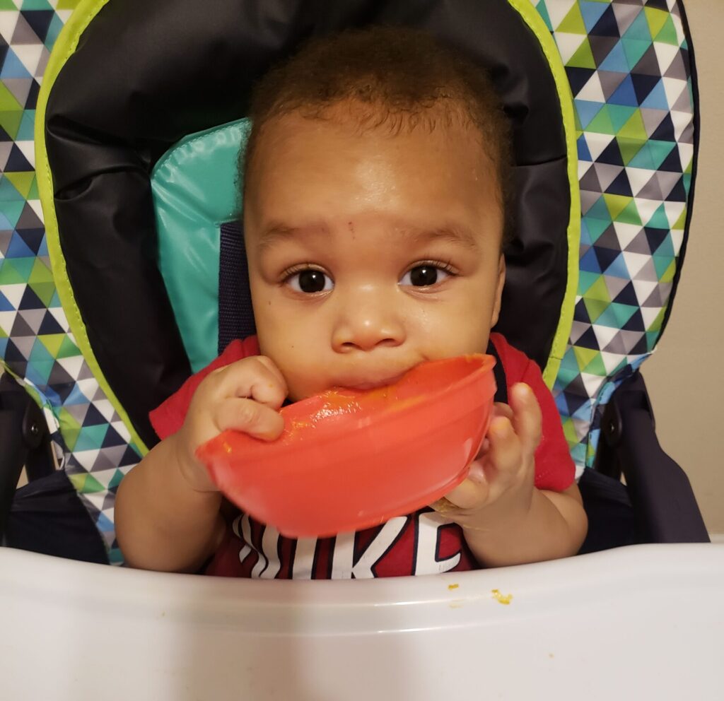 NutriBullet Baby Food Maker